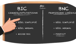Micro-BIC, Micro-BNC ou régime réel : Pensez à opter