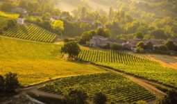 Rendez-vous sur le prix des terres